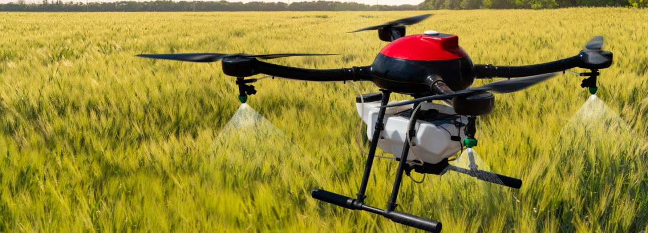 Growth from the Ground Up