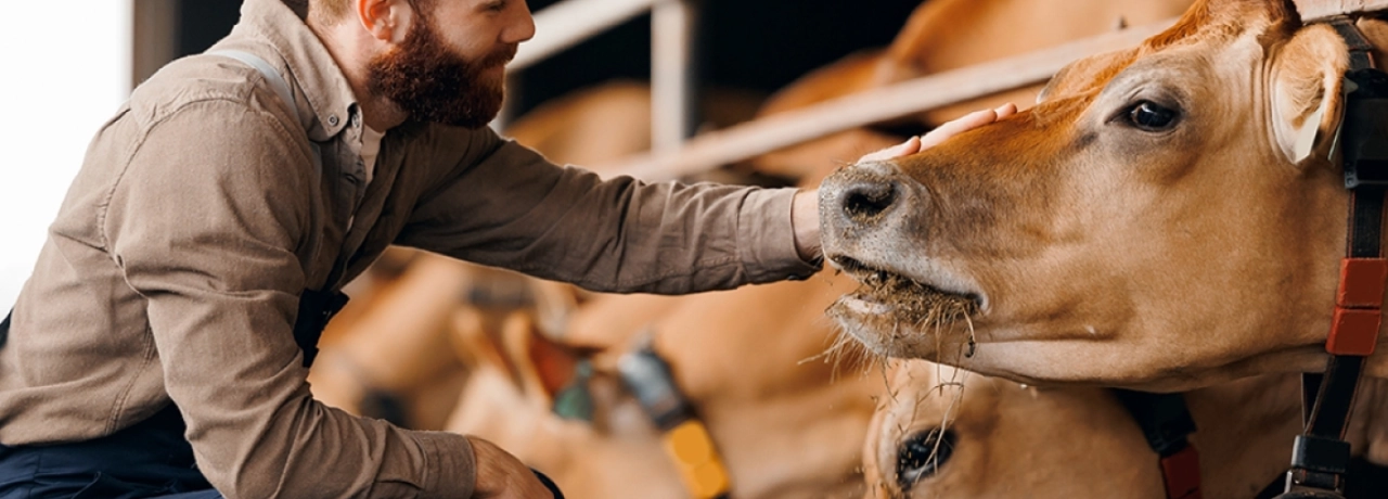 Growth from the Ground Up