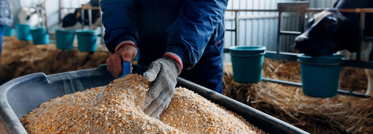 Fields of Future Growth