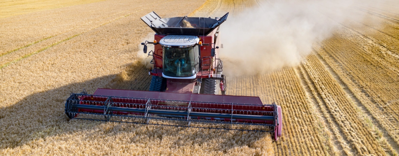 Fields of Future Growth